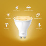 Лампа TP-LINK Tapo L610(2-pack)